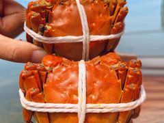 -蟹天蟹地农家菜·阳澄湖大闸蟹(浅水湾店)