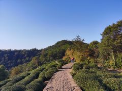 -西湖风景区十里琅珰-五云山