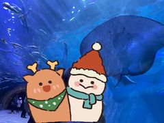 -华夏文旅海洋公园