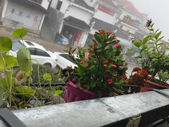 -九华山友谊土菜馆 小资餐厅