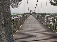 -西青郊野公园