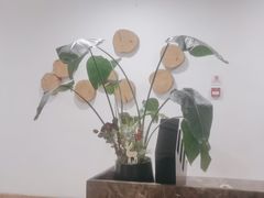 -长白山万达锦华套房酒店