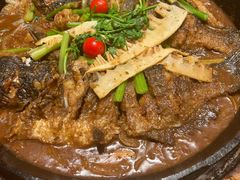 -老板恋上鱼(恒隆广场店)