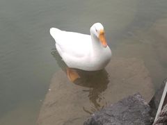 -上海怡沁园度假酒店