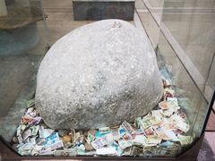 -陕西自然博物馆