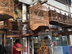 -万商花鸟市场