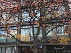 -Patagonia Chocolates(皇后镇店)