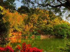 -人民公园(罗湖区)