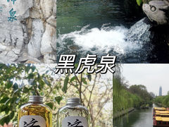 -趵突泉景区
