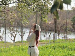 -瑶湖郊野森林公园