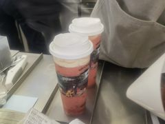 -雾与山茶(大禹城店)