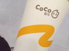 -CoCo都可(铁西万达店)