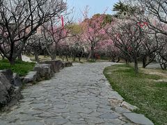 -无锡梅园公园