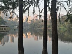 -重庆彩云湖湿地公园