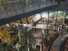 -湖南省地质博物馆