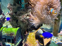 -太平洋海底世界