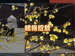 -万寿八仙宫