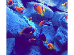 -成都浩海立方海洋公园