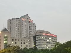 -紫峰大厦