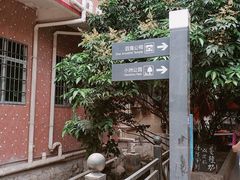 -小洲村