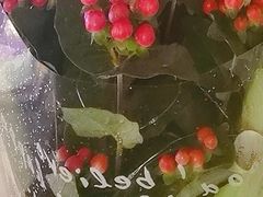 -麦当劳(鼓楼店)