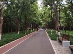 -云岗森林公园