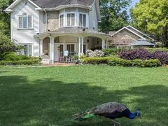 -金庭庄园酒店-停车场