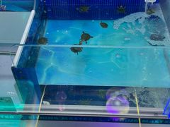 -东兴万宝财富商业广场