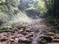 -川西竹海景区