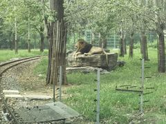 -秦皇岛野生动物园