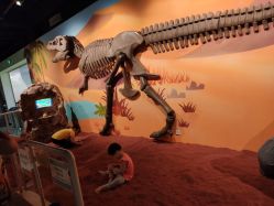 点击看大图 -北京科学中心儿童乐园