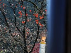 -丹山赤水风景名胜区
