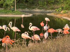 -杭州野生动物世界