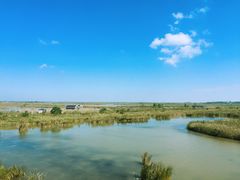 -盐城丹顶鹤湿地生态旅游区