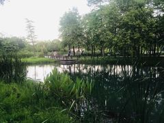 -梁鸿国家湿地公园