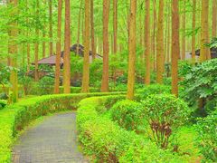 -泗洪洪泽湖湿地景区