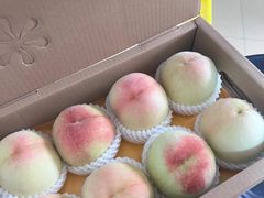 -老袁家蜜桃农场·阳山水蜜桃