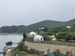 -望湖烤鱼