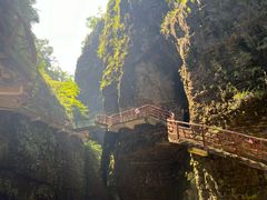 -鹿院坪生态旅游景区