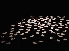 -金泽21世纪美术馆