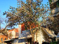 -天津五大道文化旅游区