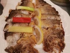 -骏莱海鲜鱼港(五角场店)