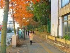 -名古屋城