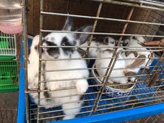 -嘉兴华美达酒店(秦逸路店)