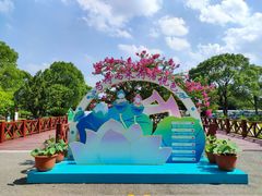 -荷塘月色湿地公园·向阳花洲