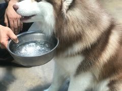 -TrueLove @ Neverland (Husky Cafe)