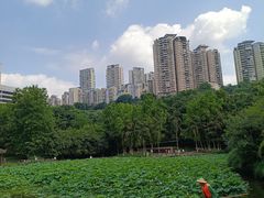 -龙头寺公园