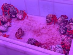 -华声天桥民俗文化园