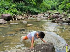 -广州白江湖森林公园