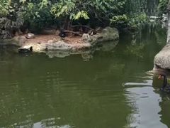 -昆明动物园